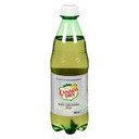 Diet Ginger Ale (500 ml)