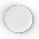 White and Silver Round Plastic Dinner Plates 10.25" (10 count)