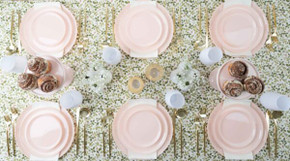 Edge Collection 6.3" Pink Plates (10 Count)