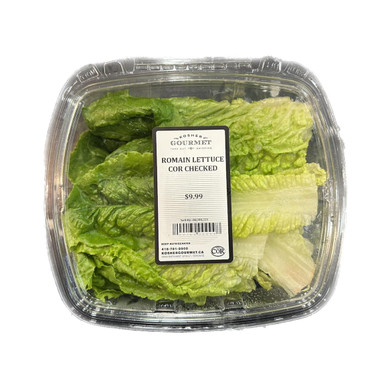 KG Romaine Lettuce 