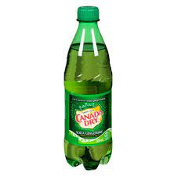 Ginger Ale (500 ml)