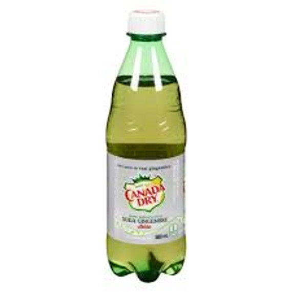 Diet Ginger Ale (500 ml)