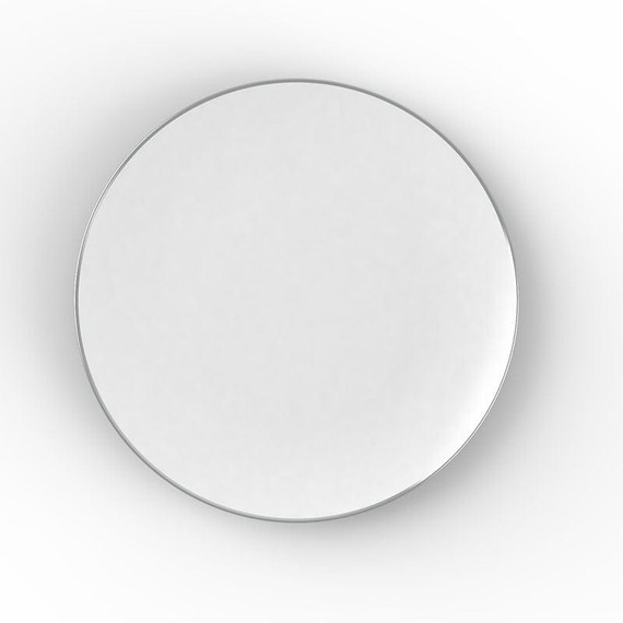 White and Silver Round Plastic Dinner Plates 10.25" (10 count)