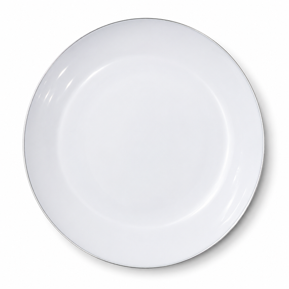 White with silver rim 10.25' plate