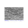 Pam East Texture Mat - Wood Winds - INVERSE - 264-PE2053 Pam East Texture Mat - Wood Winds - INVERSE - 264-PE2053