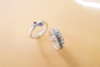 Art Clay Silver Clay - 5gm
