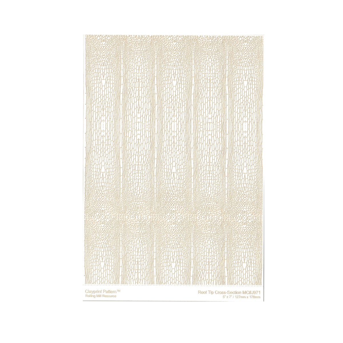 RMR Laser Texture Paper Root Tip Cross Section 127 X 178mm Metal 