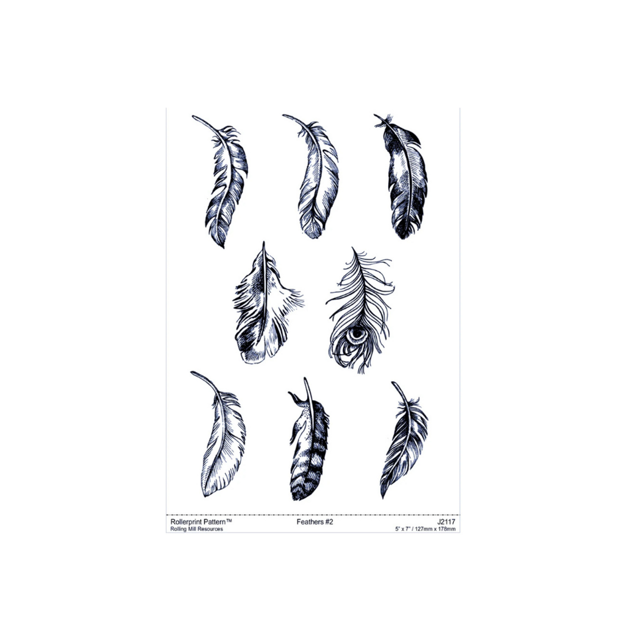 RMR Laser Texture Paper - Feathers #2 - 127 x 178mm