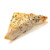 Mini Ricotta & Spinach Filo Triangle(2 pack) 