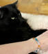 My bangle bracelet with my handsome cat 