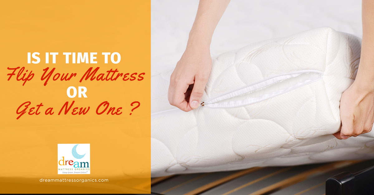 Blog Dream Mattress Organics