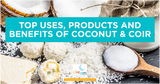 Top Uses, Products and Benefits of Coconut & COIR