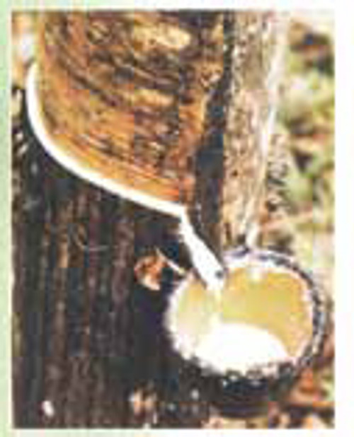 Natural latex Natural latex