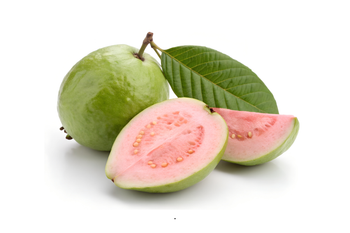 Guava