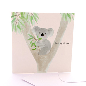 Thoughtful Koala