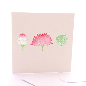 Sacred Lotus
