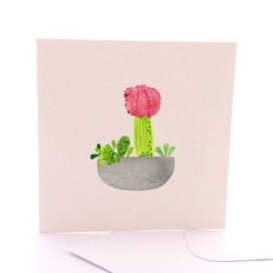 Pink Cactus