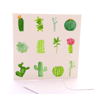 Cactus Study