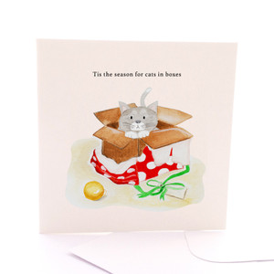 Cat In a Box