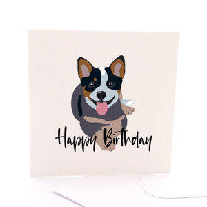 Blue Heeler