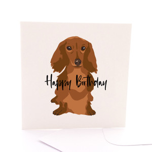 Long Hair Dachshund