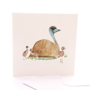 Emu Chicks