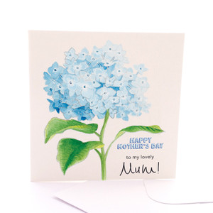 Mother's Day Hydrangea