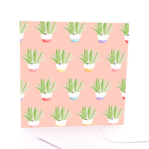 Pot Plant Scatter