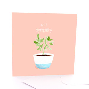 Sympathy Plant