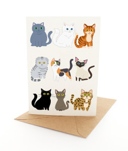 Cat Gallery