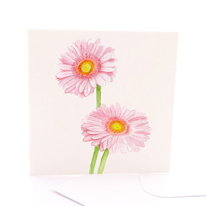 Botanica Gerberas