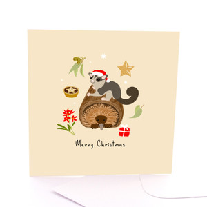 Christmas in Australia - Echidna & Poss