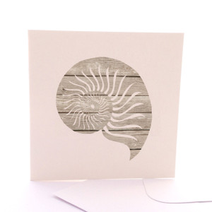 Nautilus