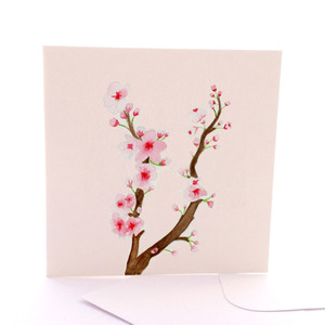 Botanica Cherry Blossom