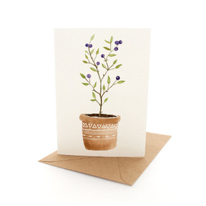 Olive Tree