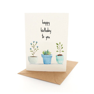 Birthday Plants