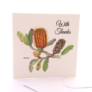 Australis Banksia