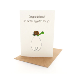 Punny Turtle