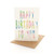 Rainbow Birthday