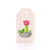 Pink Cactus