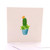 Potted Cactus