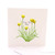 Billy Buttons
