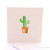 Mr Cactus