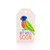 Get Well Lorikeet