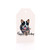 Blue Heeler