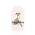 Greyhound