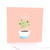 Sympathy Plant