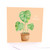 Just Because Plant