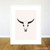 Buffalo Skull