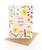 Baby Daisy Scatter
